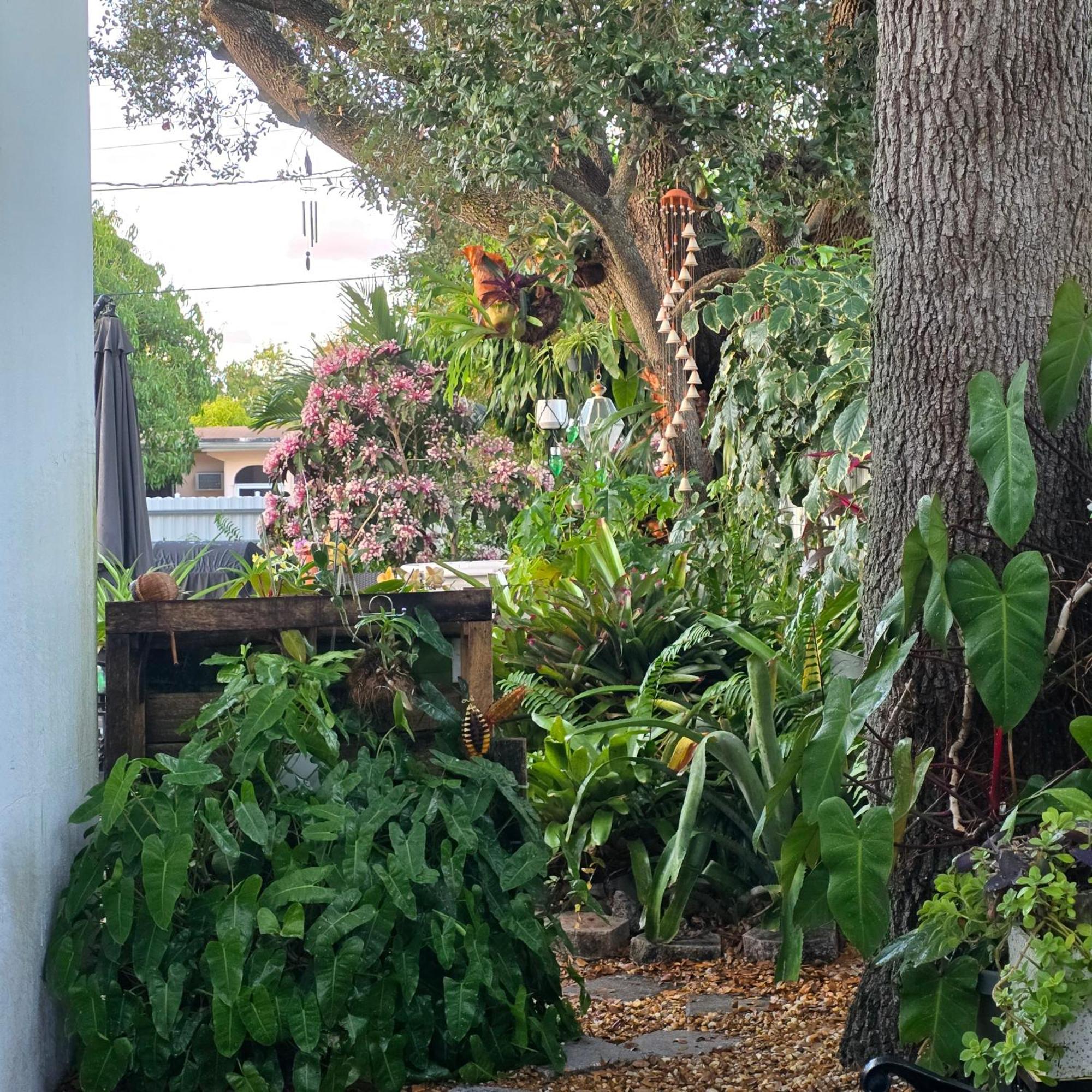 Suite Life At Chez Mercedes Miami Exterior foto